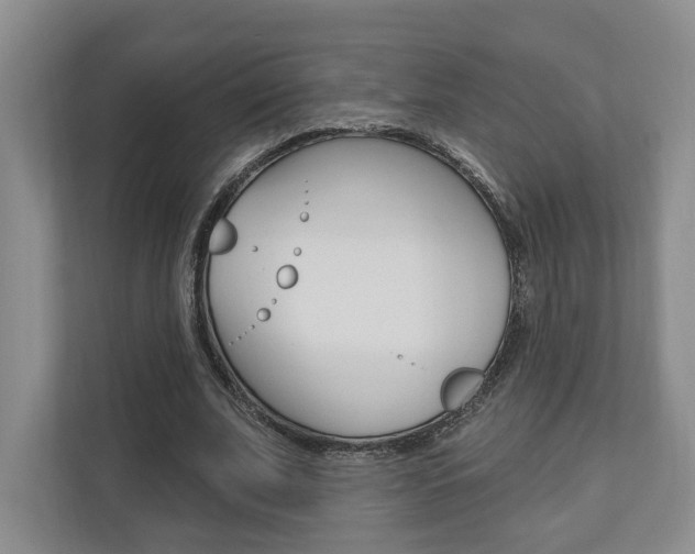 X0000110740679200906150929
