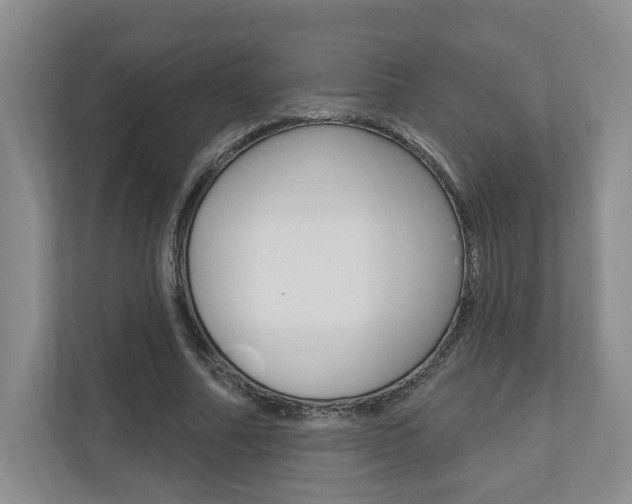 X0000110740682200906150929