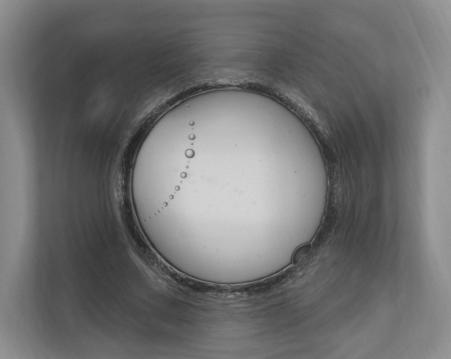 X0000110740683200906150929
