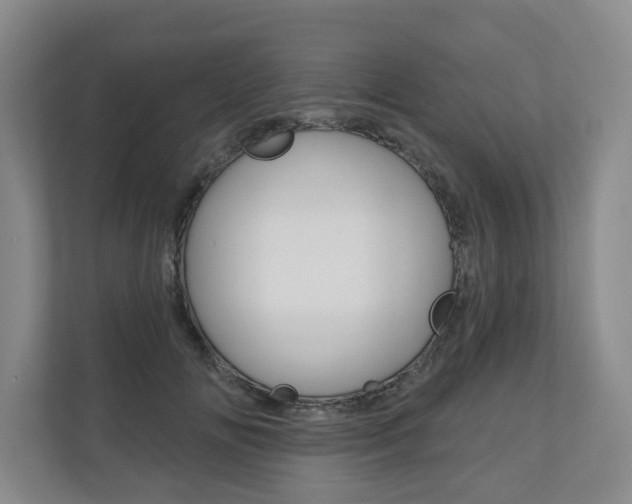 X0000110740702200906150929