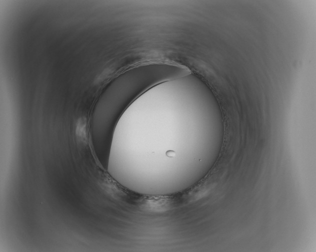 X0000110740720200906150929