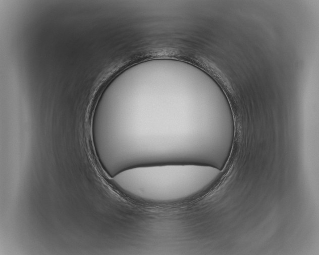 X0000110740721200906150928