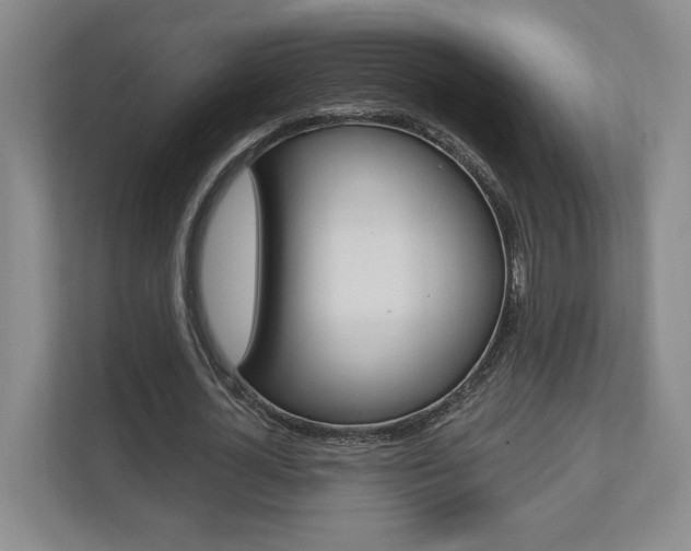 X0000110740724200906150928