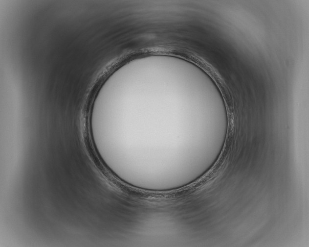 X0000110740725200906150928