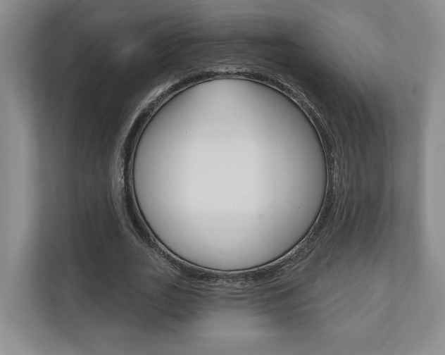 X0000110740727200906150928