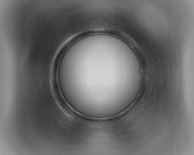 X0000110740728200906150928