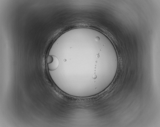 X0000110740729200906150928