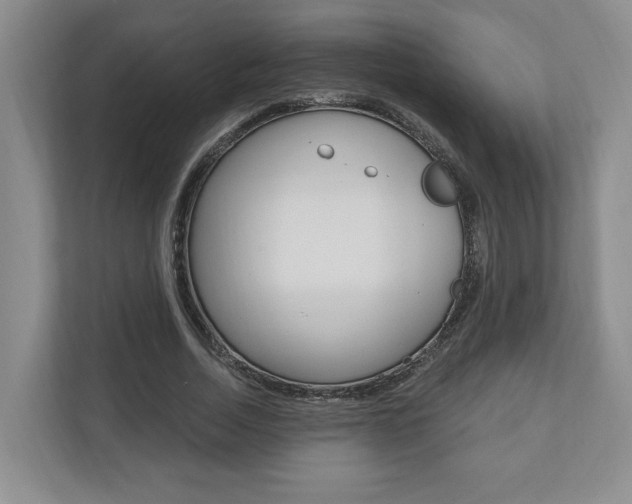 X0000110740730200906150928