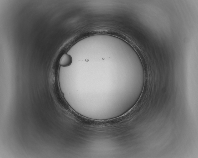 X0000110740731200906150928