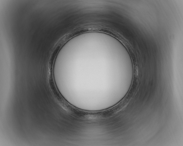 X0000110740733200906150928