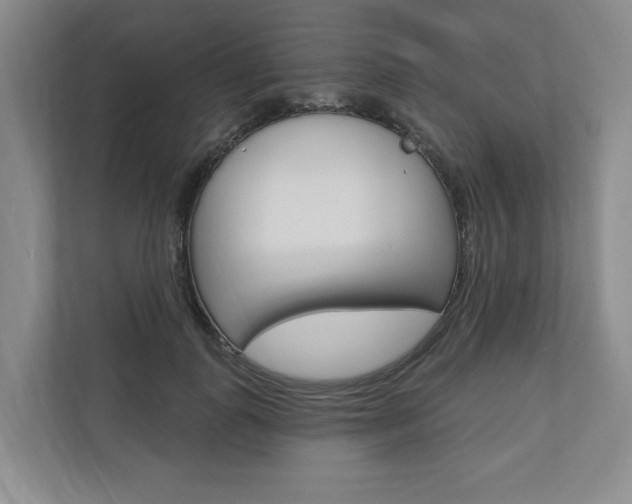 X0000110740747200906150928