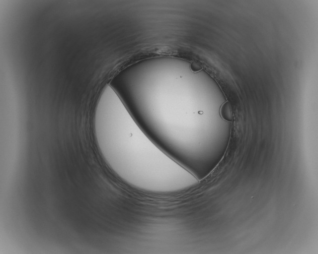 X0000110740748200906150928