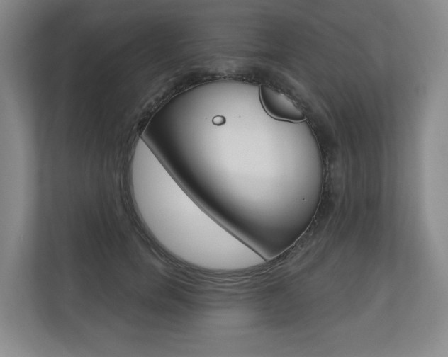 X0000110740750200906150928