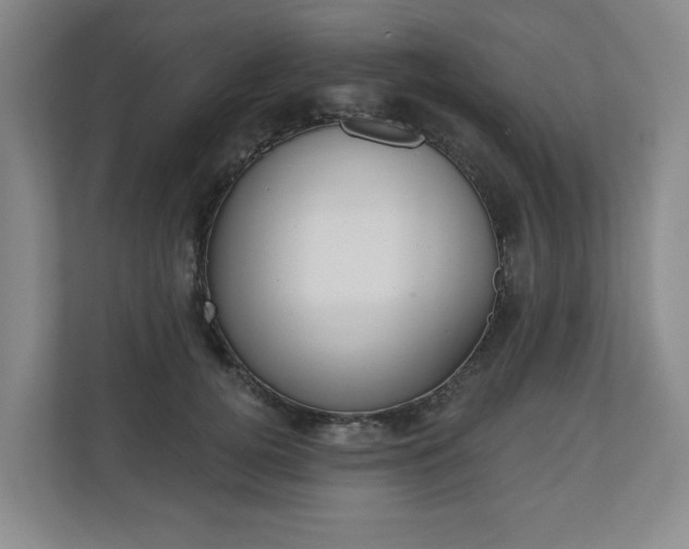 X0000110740752200906150928