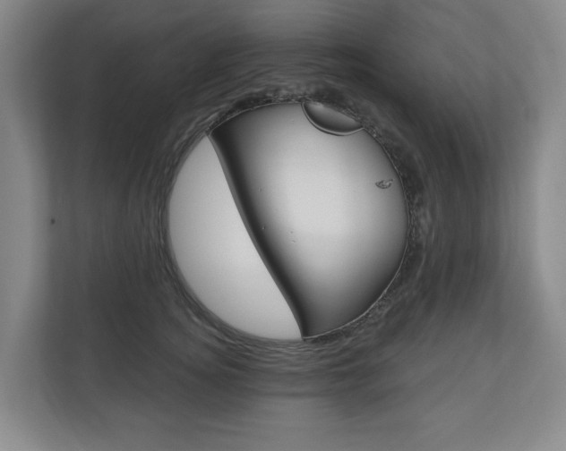 X0000110740756200906150928