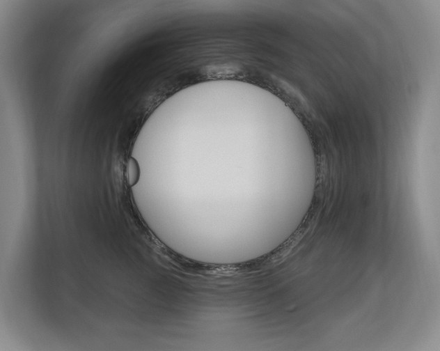 X0000110740761200906150929