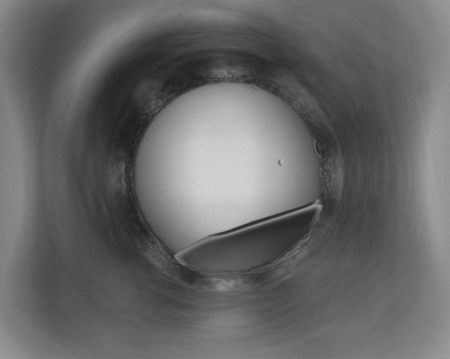 X0000110740762200906150929