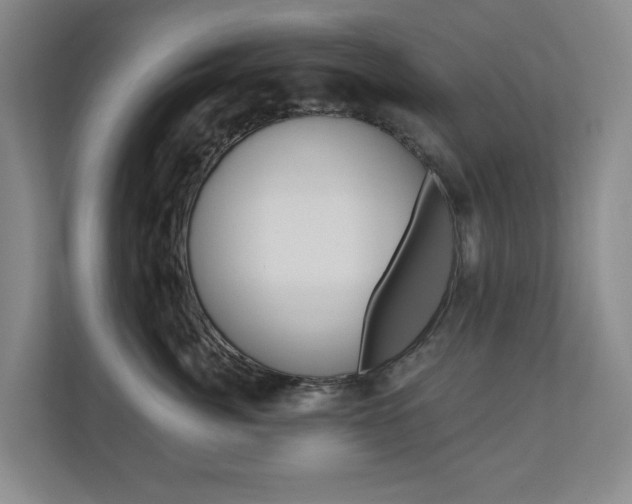 X0000110740764200906150929