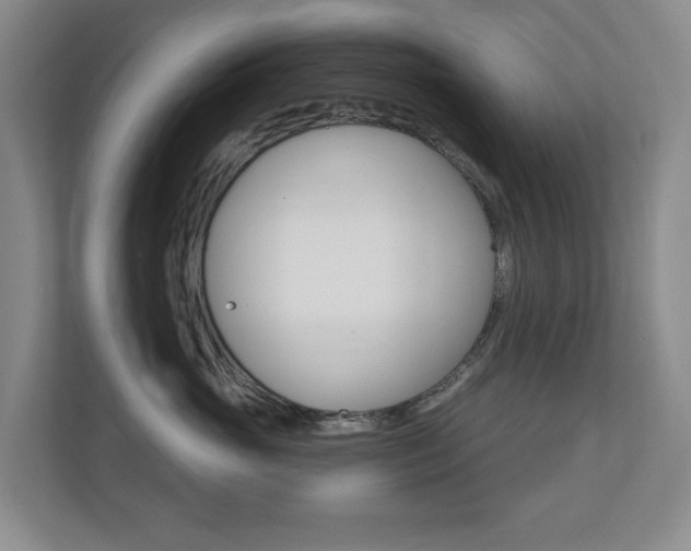 X0000110740765200906150929