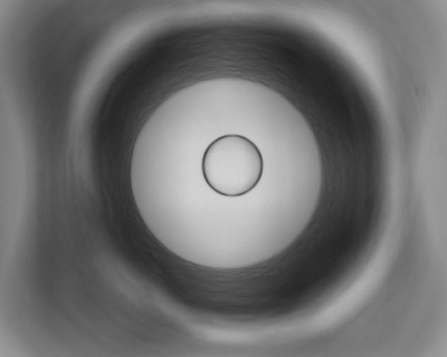 X0000110740766200906150929