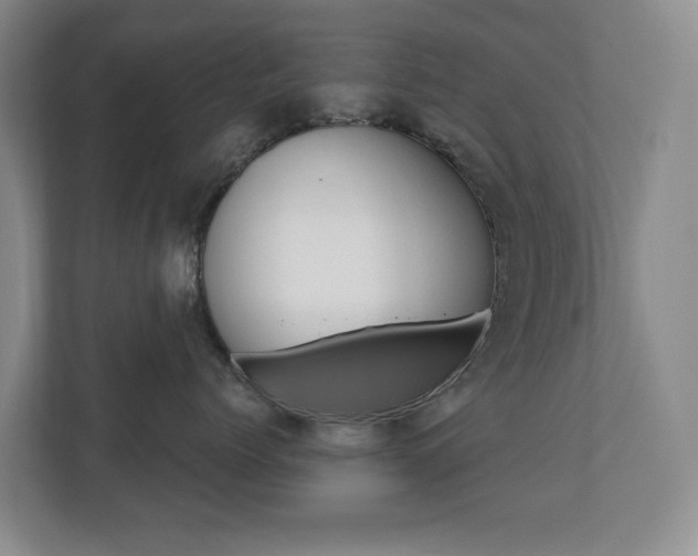 X0000110740768200906150929