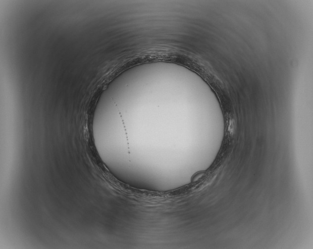 X0000110740771200906150928