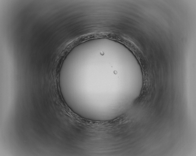 X0000110740773200906150928
