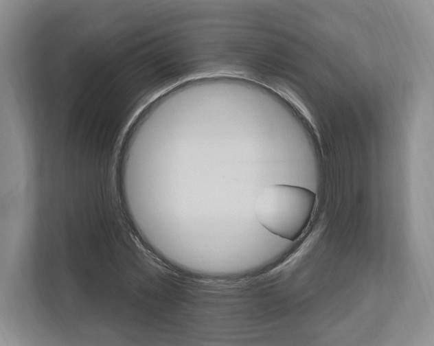 X0000110740781200906150928