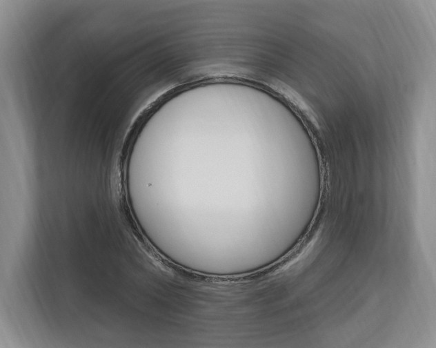 X0000110740782200906150928