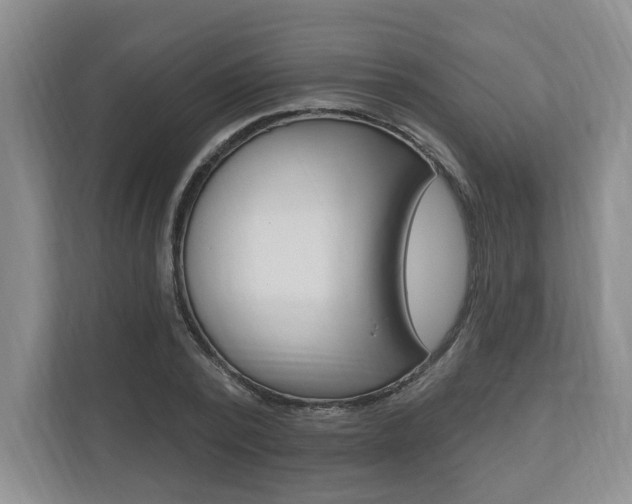 X0000110740784200906150928