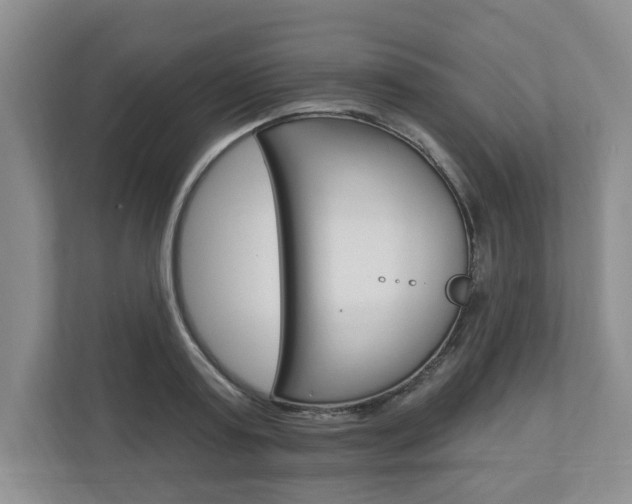 X0000110740795200906150928