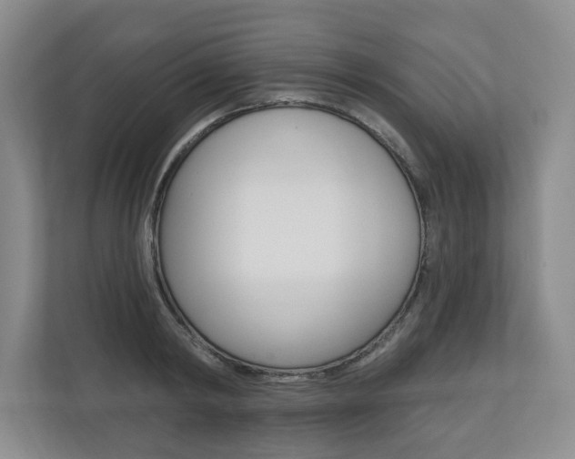 X0000110740798200906150928