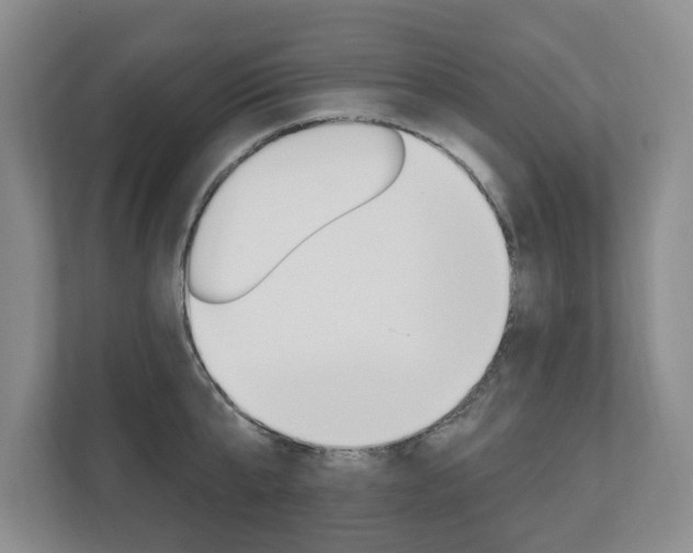 X0000110740807200906150927