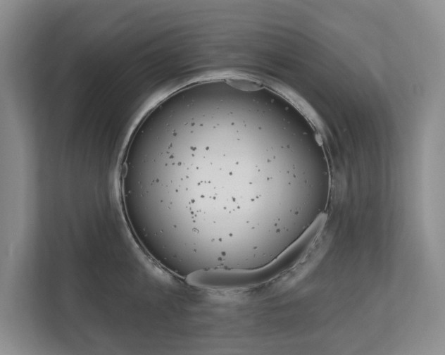 X0000110740813200906150927