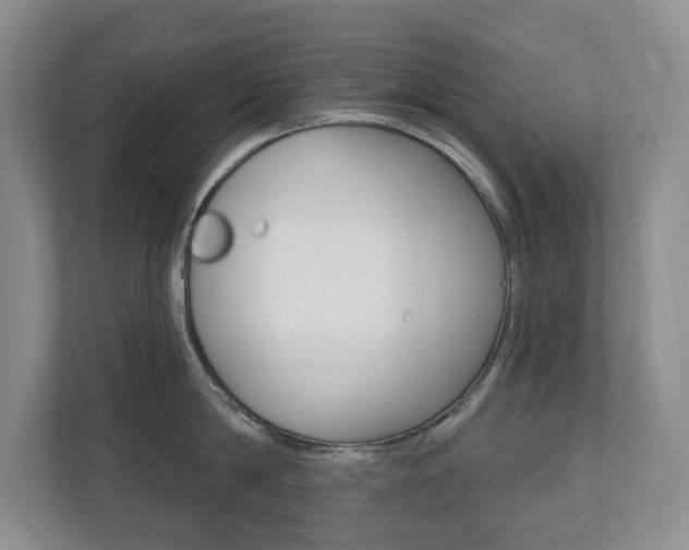 X0000110740814200906150927