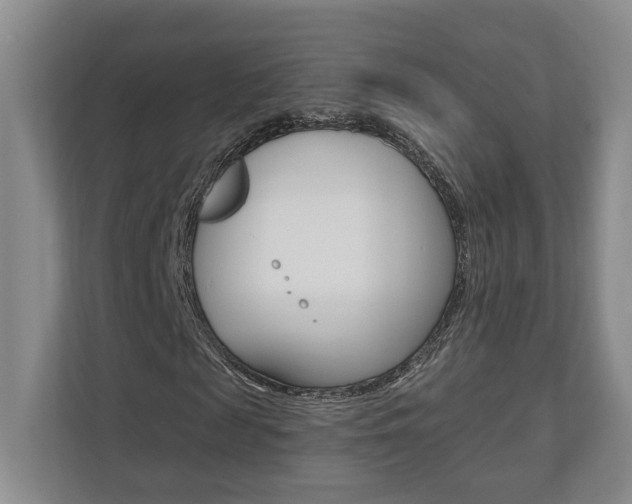 X0000110740817200906150927