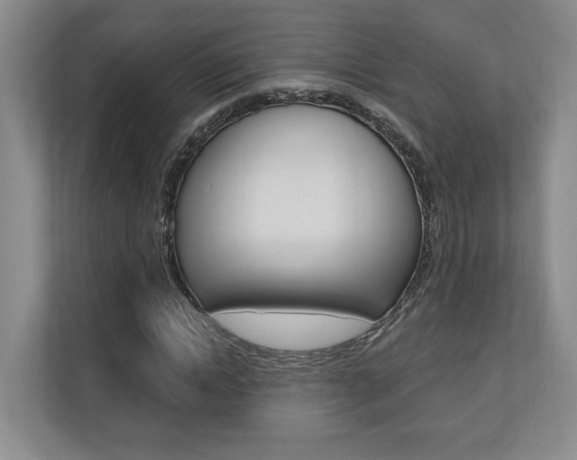 X0000110740822200906150927