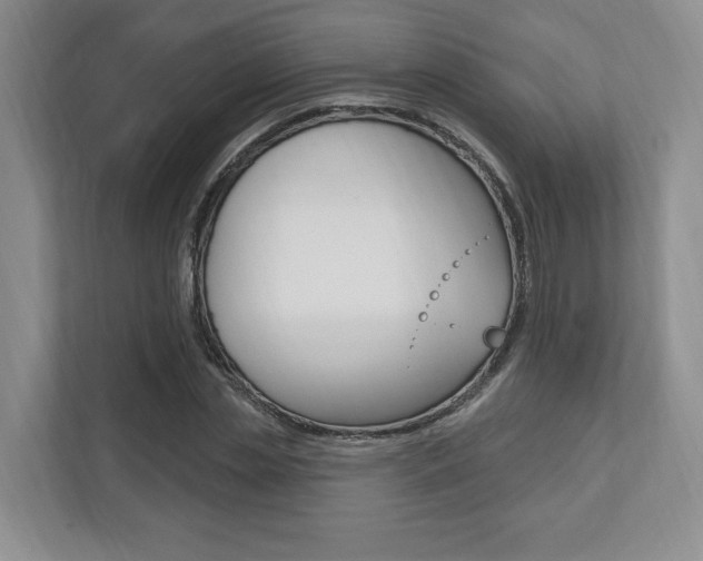 X0000110740829200906150927