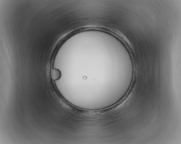 X0000110740831200906150927