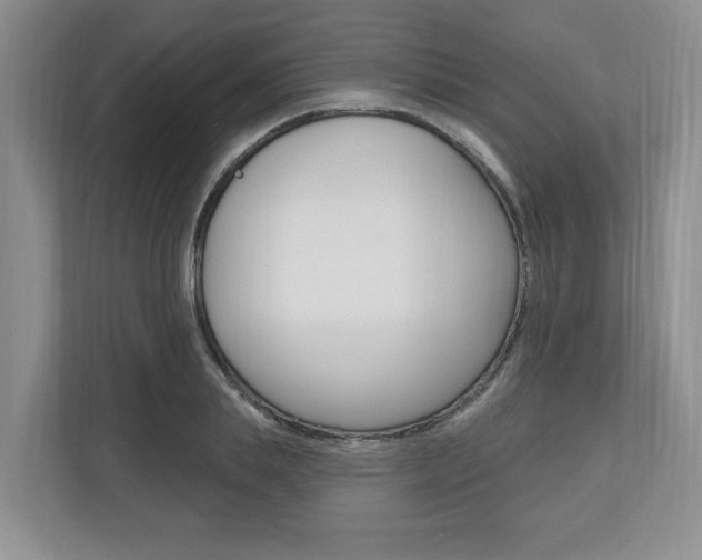 X0000110740839200906150927
