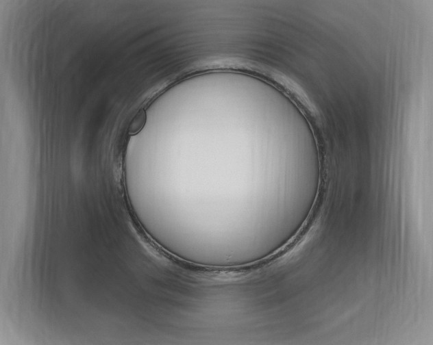 X0000110740841200906150927