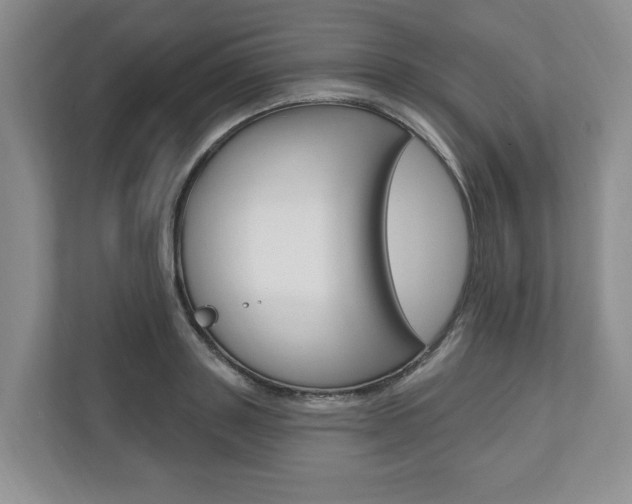 X0000110740843200906150927