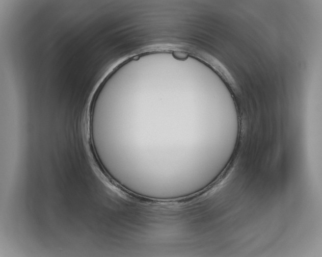 X0000110740844200906150927