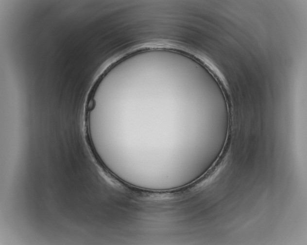 X0000110740845200906150927