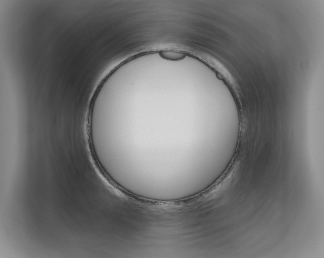 X0000110740847200906150927