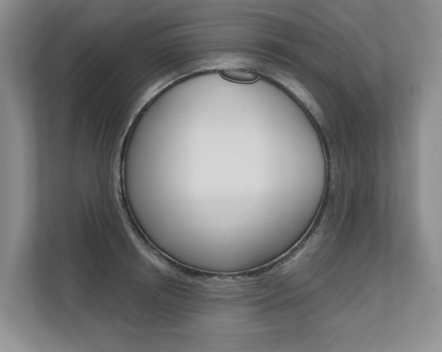 X0000110740850200906150927