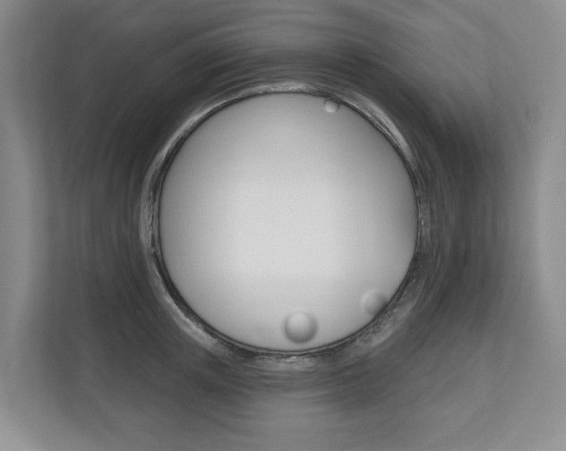 X0000110740851200906150927