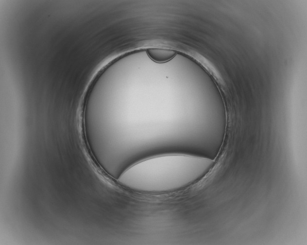 X0000110740854200906150927