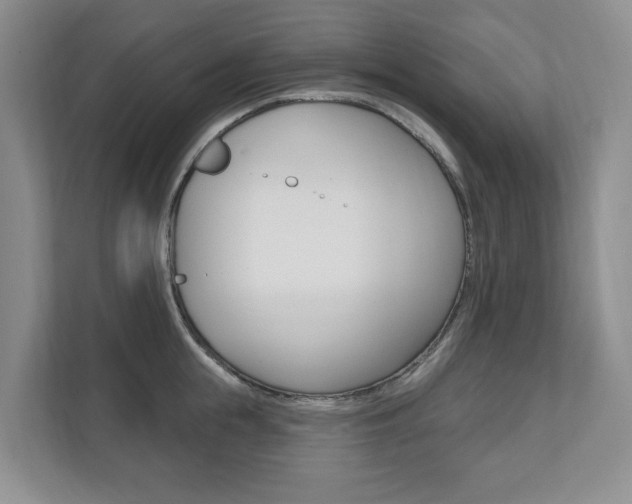 X0000110740855200906150927