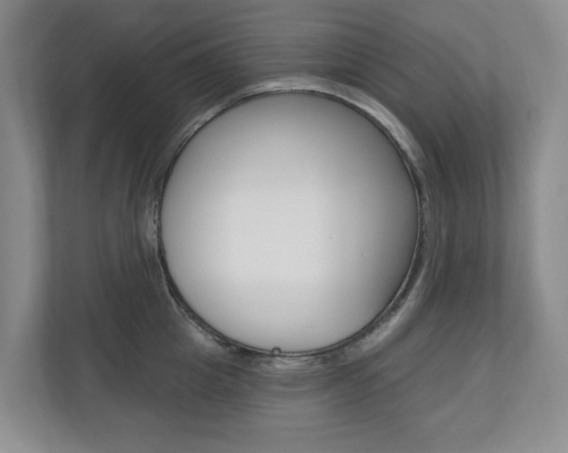 X0000110740857200906150927